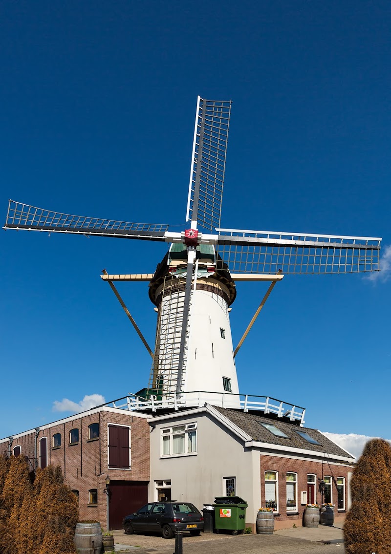 Korenmolen De Arkduif Bodegraven