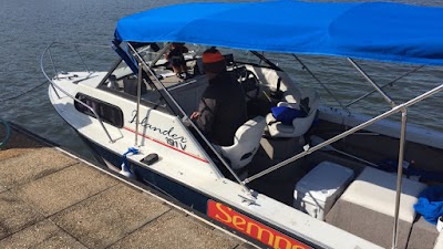 MIke Simmons Auto Sales