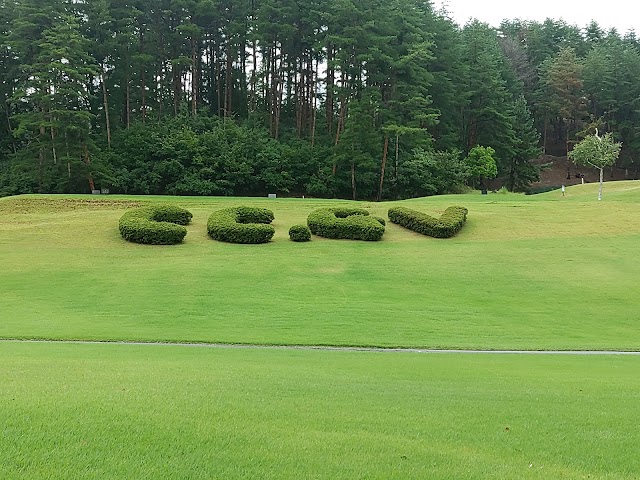 Country Club Green Valley - Photo 1
