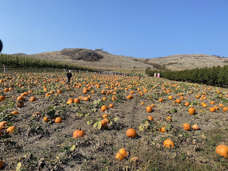 Davison Orchards photo 4
