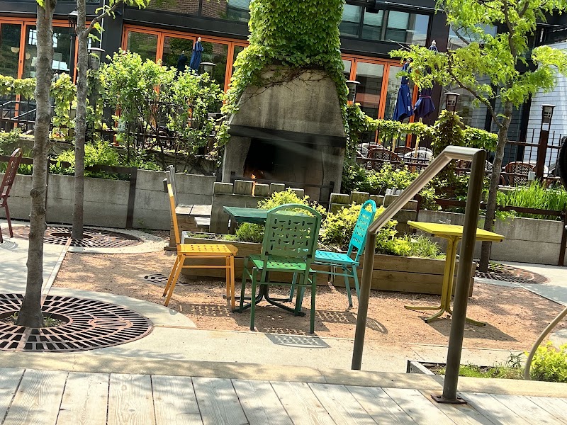 Colectivo Coffee Mequon photo 1