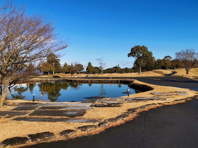 Route 25 Golf Club - Photo 8