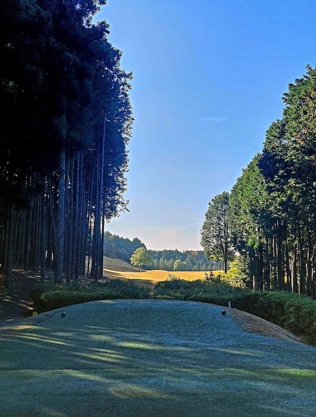 Route 25 Golf Club - Photo 4