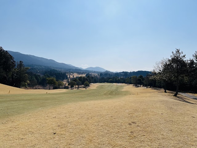 Route 25 Golf Club - Photo 10