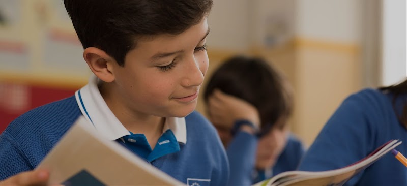 C.e.i.p. Our Lady Of The Snows