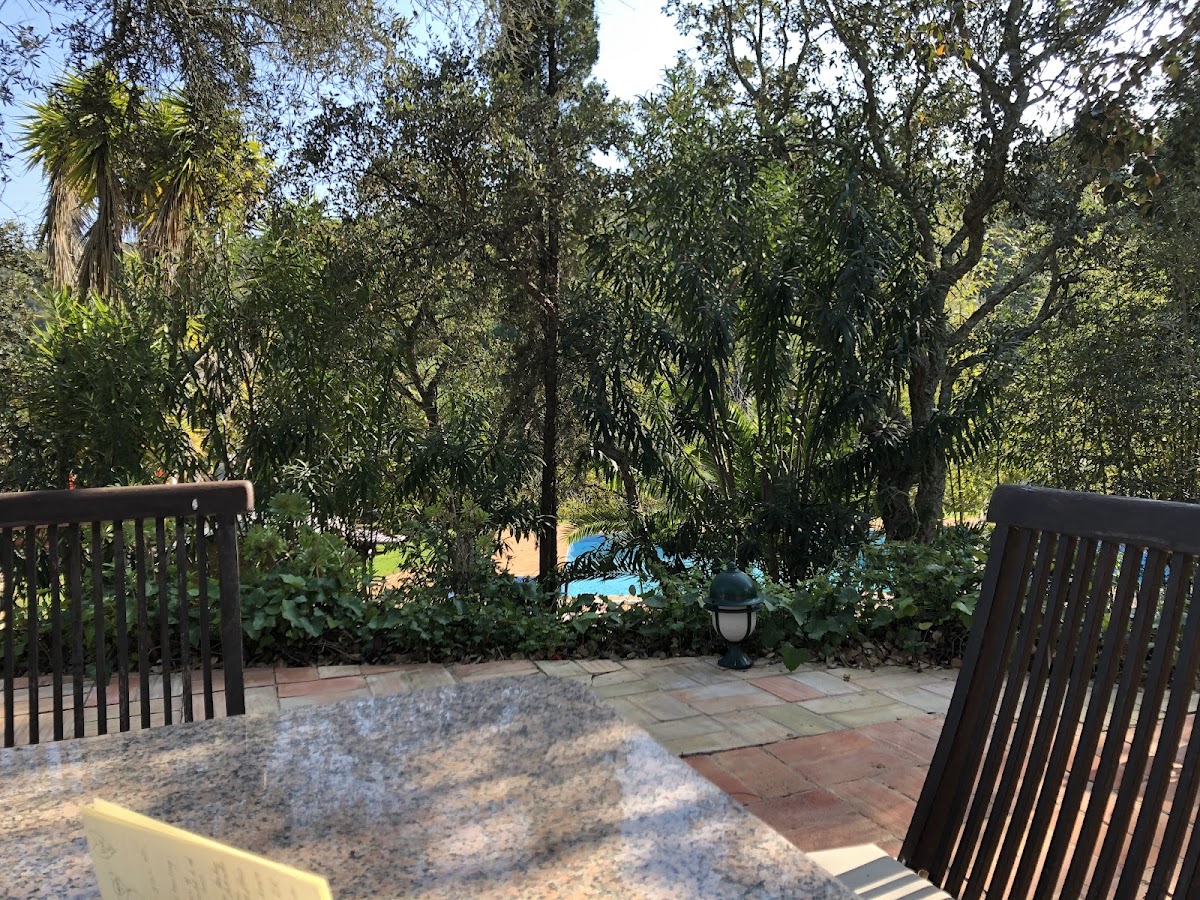 Moinhos Velhos Juice Detox & Yoga Retreat — 4