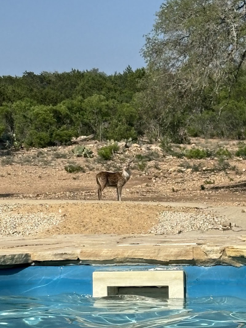 Los Milagros Ranch - Photo 3