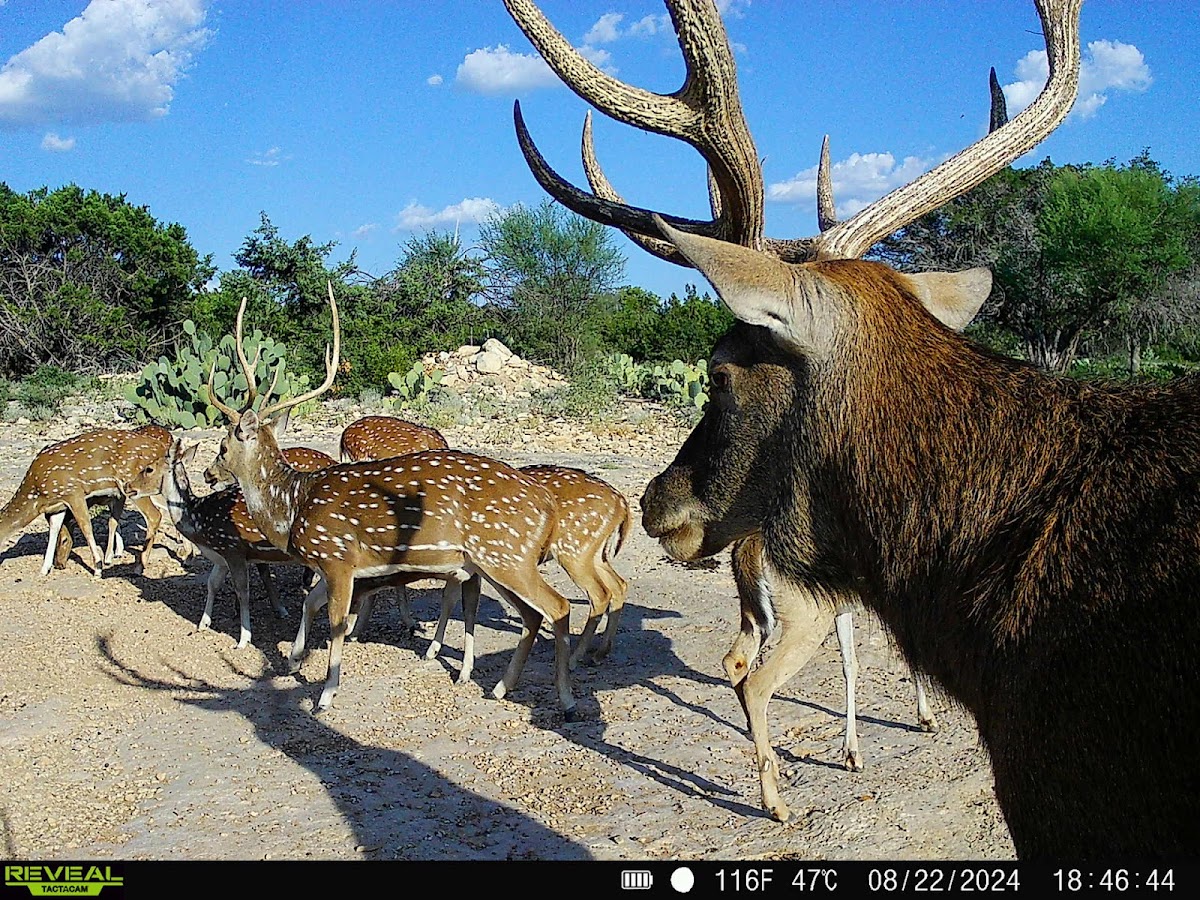 Los Milagros Ranch