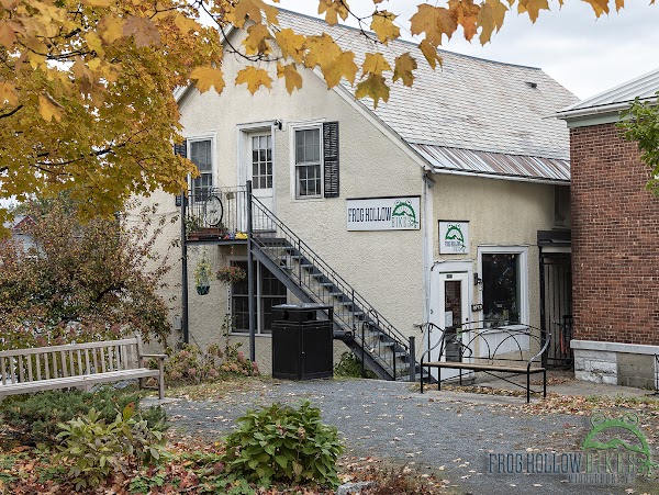 Frog Hollow Bikes 1