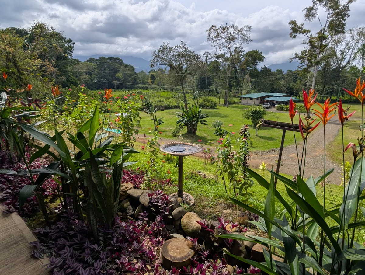 Dragonfly Awakenings Healing, Integration & Wellness Retreat Center — 3