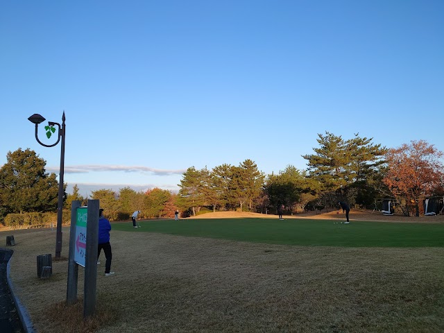 Okayama Airport Golf Course - Photo 6