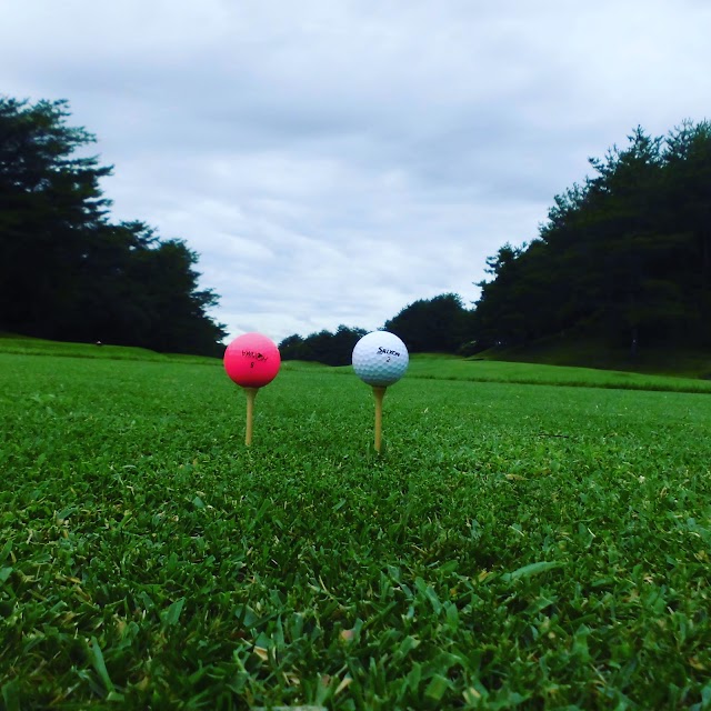 Okayama Airport Golf Course - Photo 10
