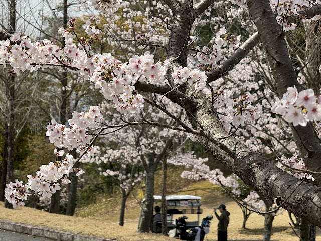 Okayama Airport Golf Course - Photo 7