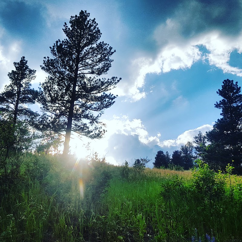 The Blacktail Ranch - Photo 3
