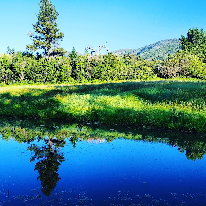 The Blacktail Ranch - Photo 2