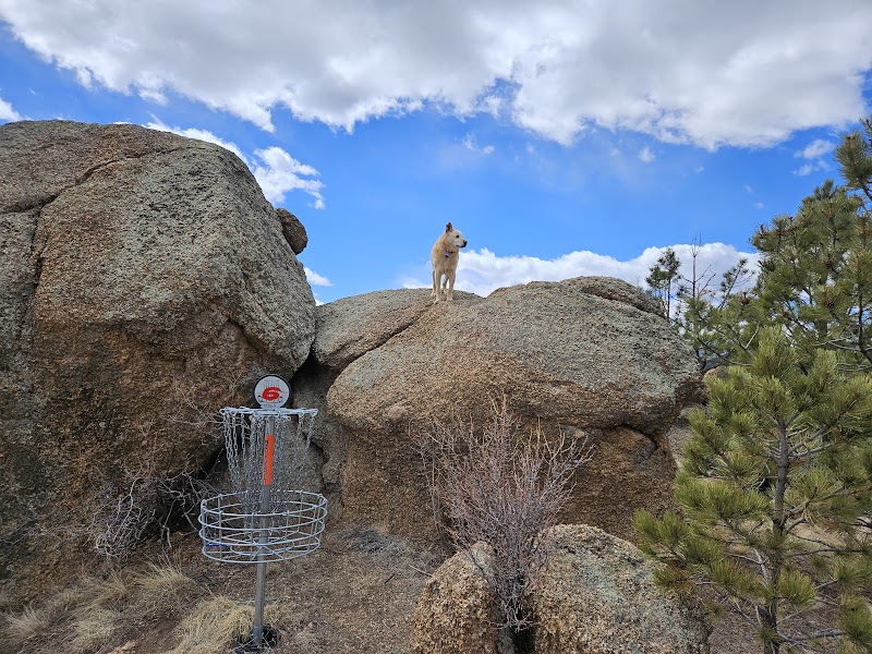 Lion's Den Disc Golf Course photo 4