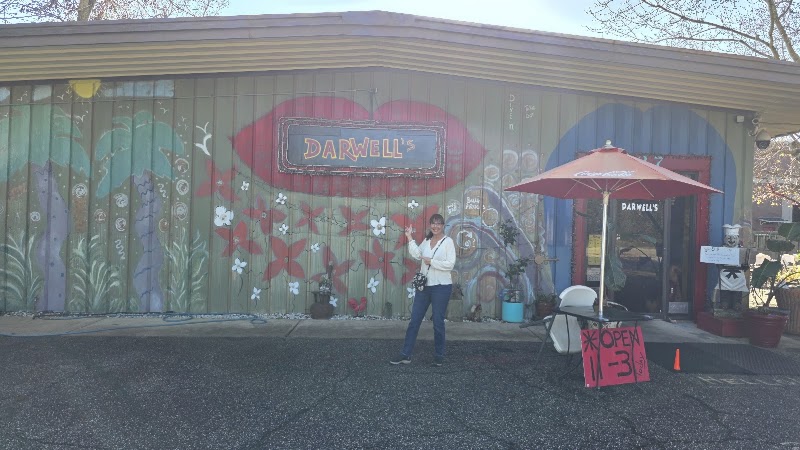 Darwell's Happiness Cafe photo 3