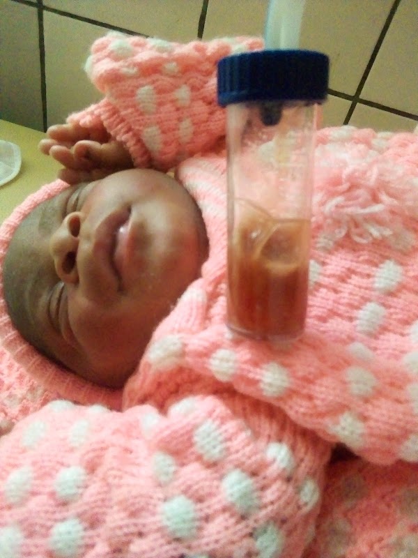 HEALTH NGO Mother and child maternity hospital organization Cameroon - Photo 9