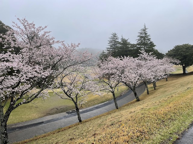 Berseba Country Club Ichihara Course (Chiba Prefecture) - Photo 9