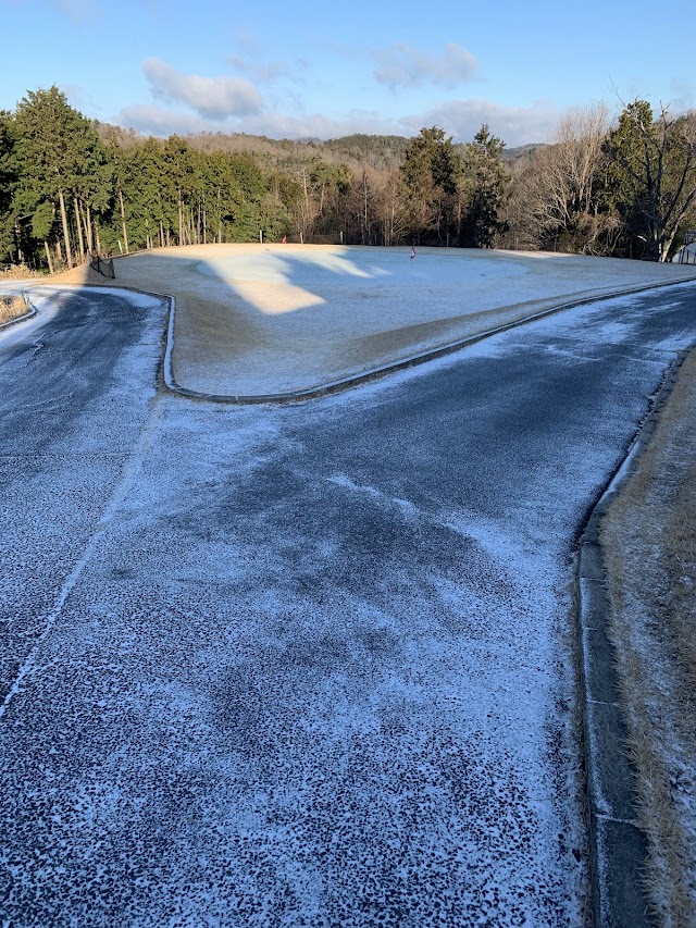 Murow 36 Golf Club - Photo 10