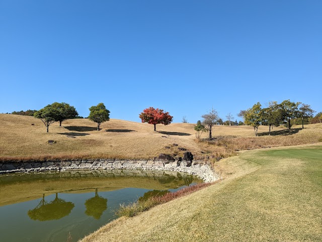 Murow 36 Golf Club - Photo 6