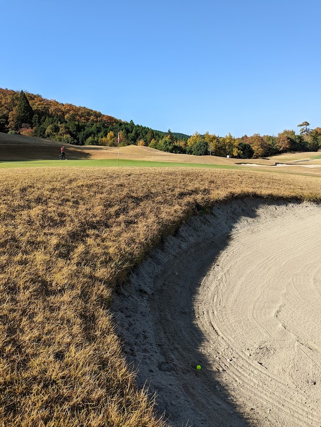 Murow 36 Golf Club - Photo 9
