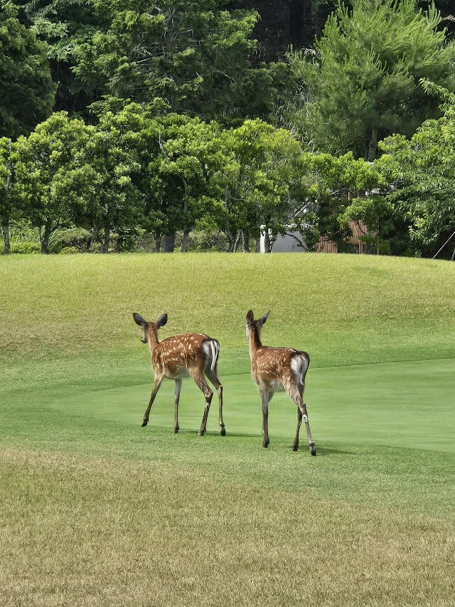 Murow 36 Golf Club - Photo 7