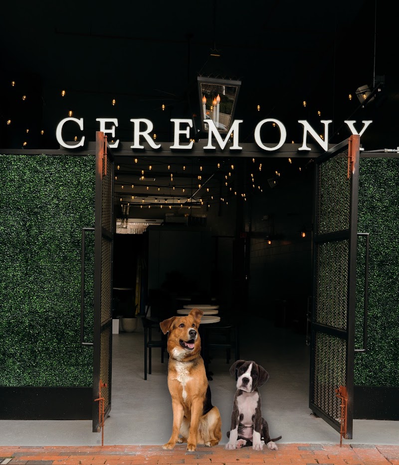 Ceremony Coffee Bethesda Crescent photo 3