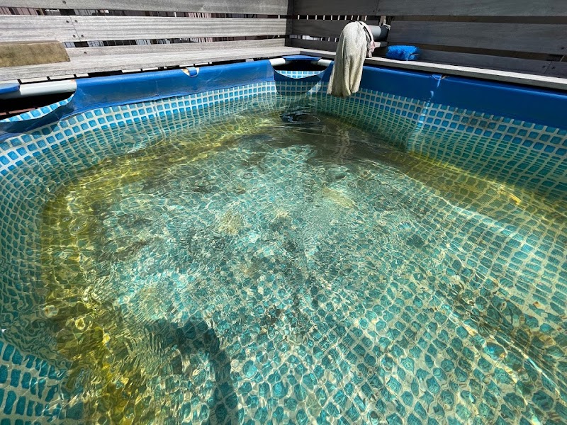 スパ&カプセルイン リアルサウナ錦糸町(旧カプセルイン錦糸町) 3