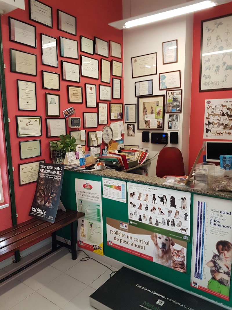 Clinica Veterinaria Coia