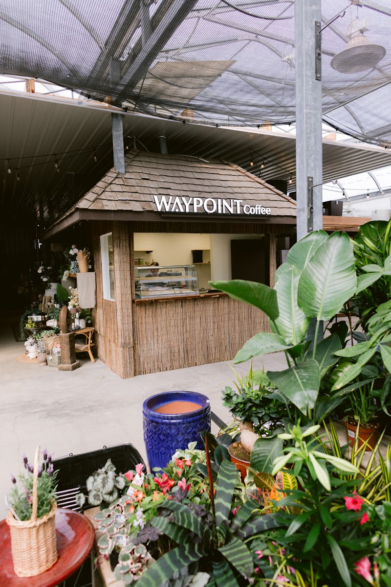 Waypoint Coffee photo 2