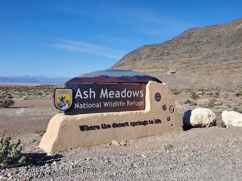 Ash Meadows National Wildlife Refuge - Photo 5