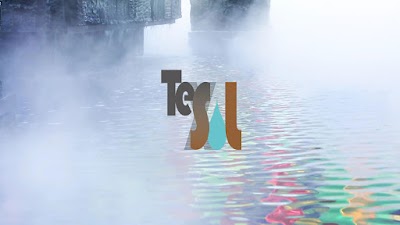 TeXol Sàrl