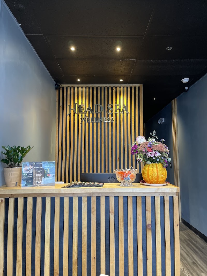Head Spa Wellness