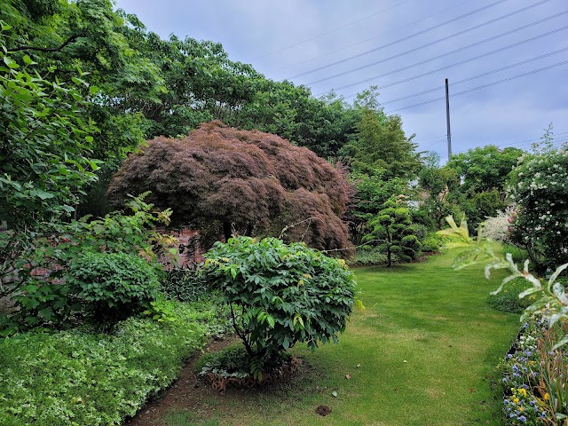 Hanayu no Mori Short Course - Photo 3