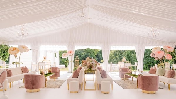 Big Dawg Party Rentals portfolio