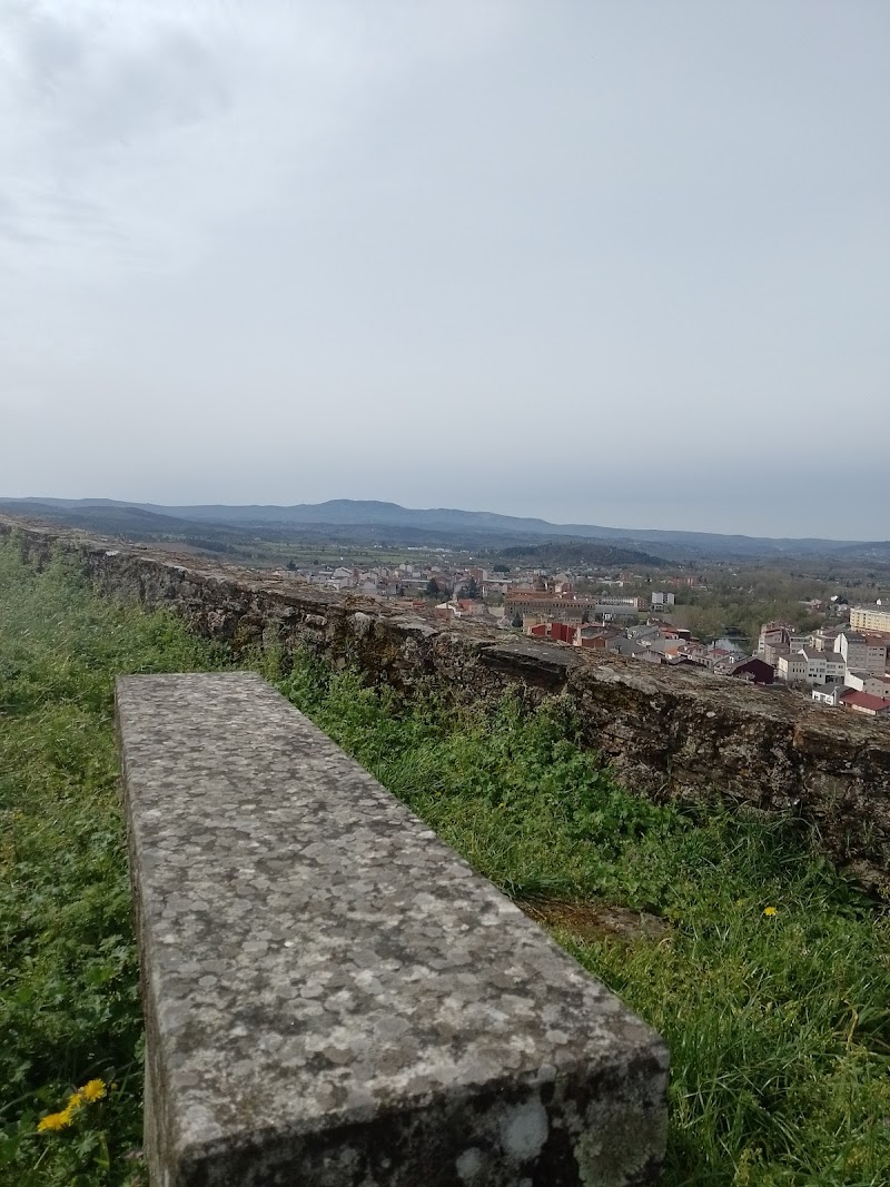 María Jesús Tapia Fernández photo 3