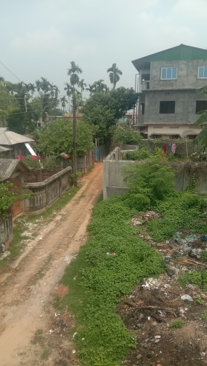 Avinash Avenue Google photo 1