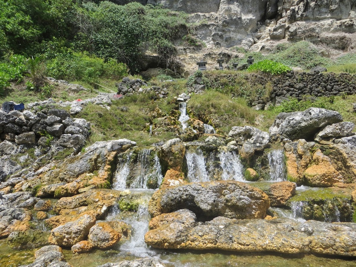 Seganing spring