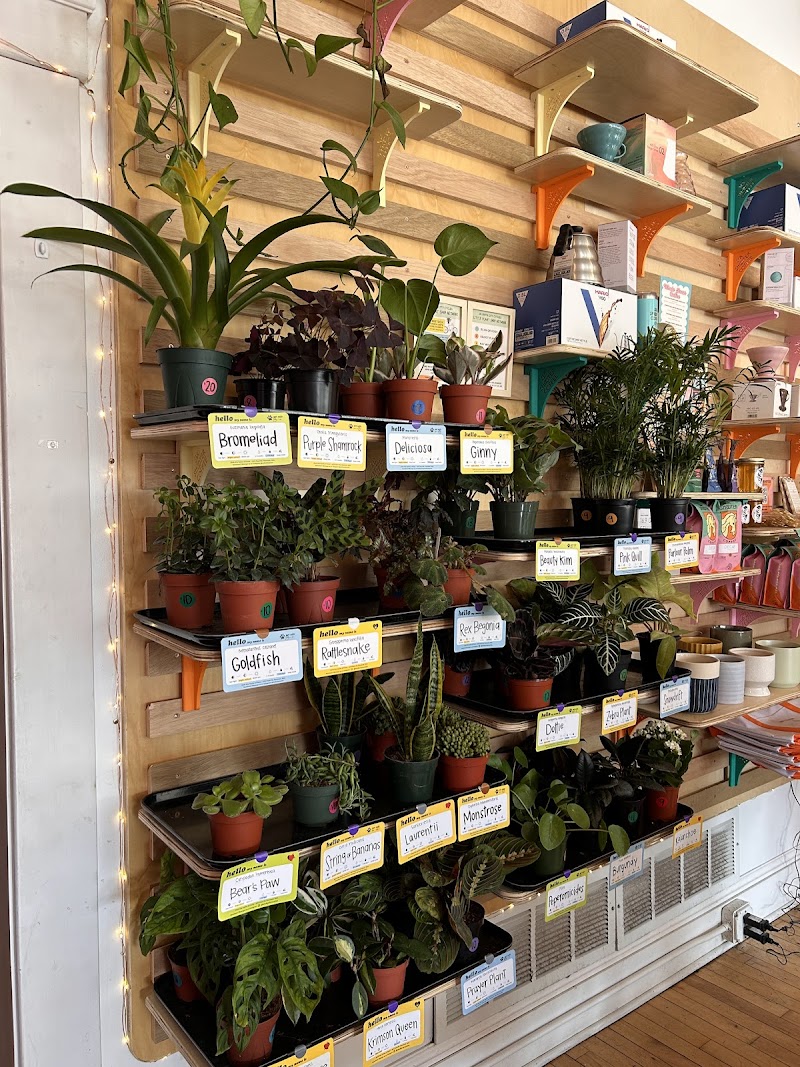 Six Shooter Coffee photo 2