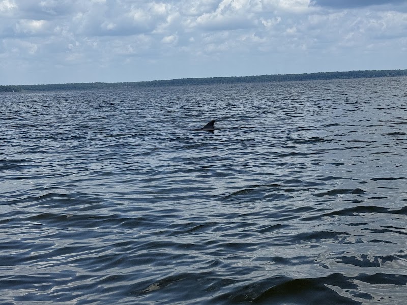 New River Boat Tours