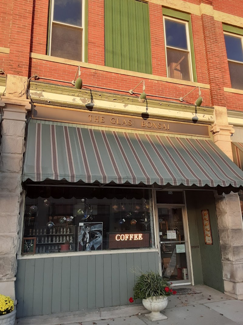 Glass Bonsai photo 1