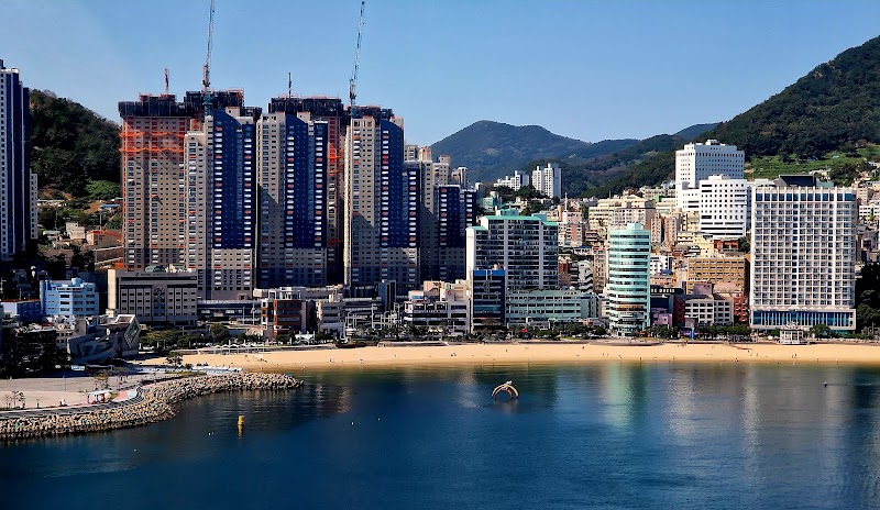 송도해수욕장 반려동물 동반 여행지