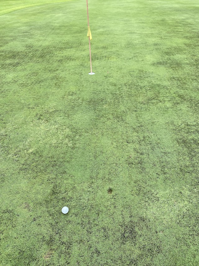 Fujik Country Club South Course - Photo 7