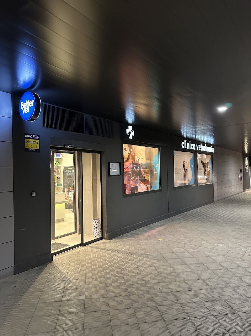 Clínica veterinaria Bettervet Soto de Lezkairu