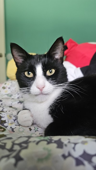 Northwest Georgia Veterinary Emergency Center