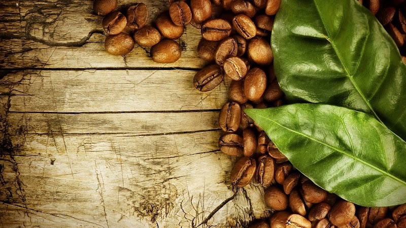 Jackson Coffee Co. photo 2