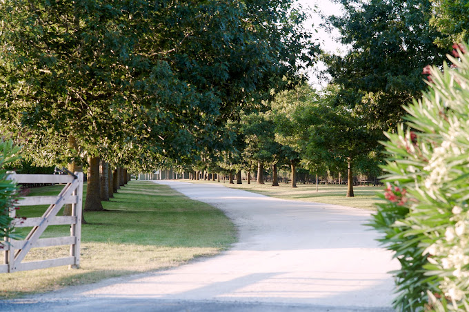 Alpha Domus Vineyard & Cellar Door