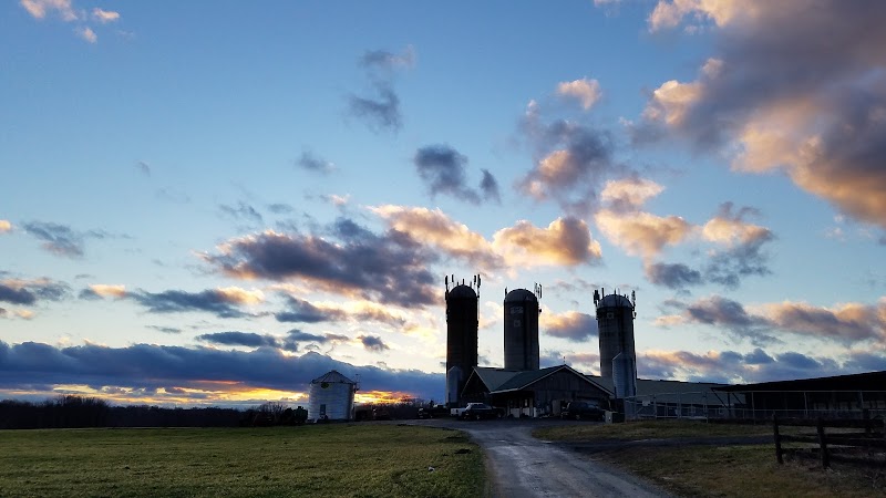 Broom's Bloom Dairy photo 3