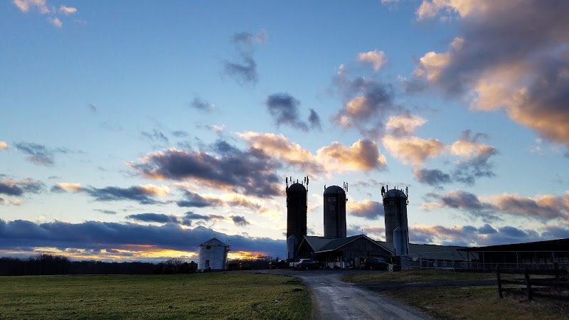 Broom's Bloom Dairy photo 4